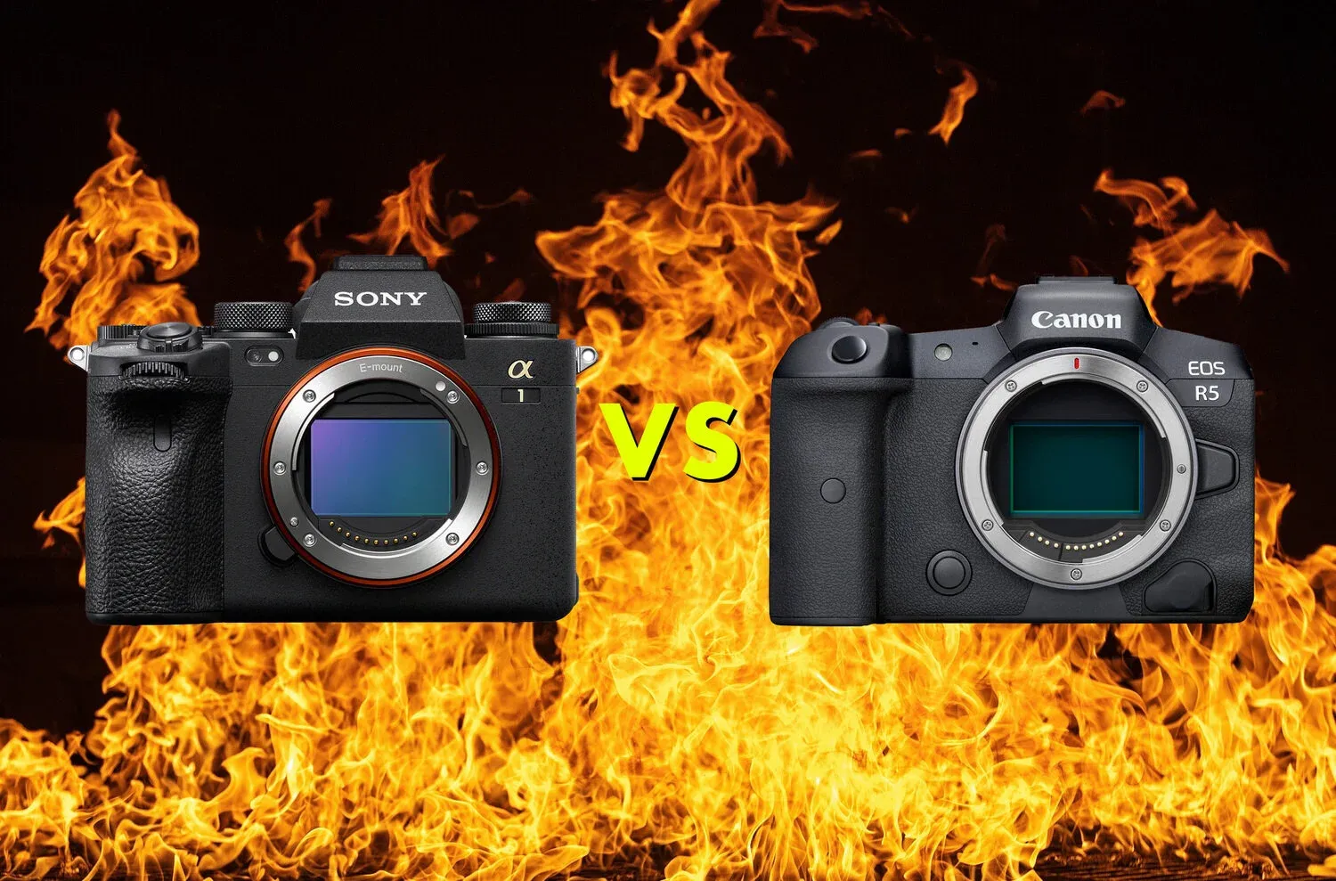 Five Canon R5 Photographers Give Their Opinion on the Sony Alpha 1