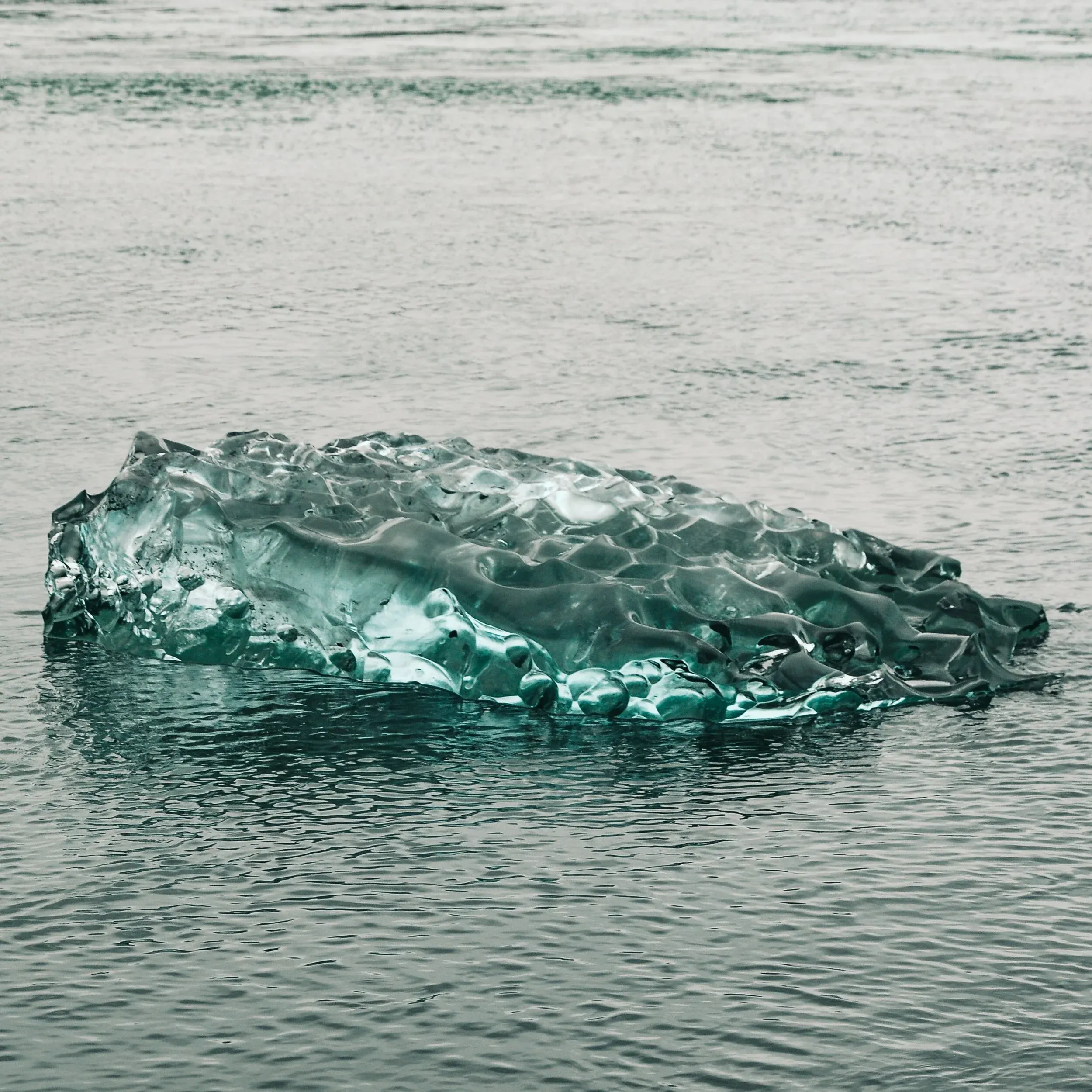 Ice drifting in the ocean captured with a Canon EOS R5. 60 seconds after the R5 was turned on the ice was no longer visible.